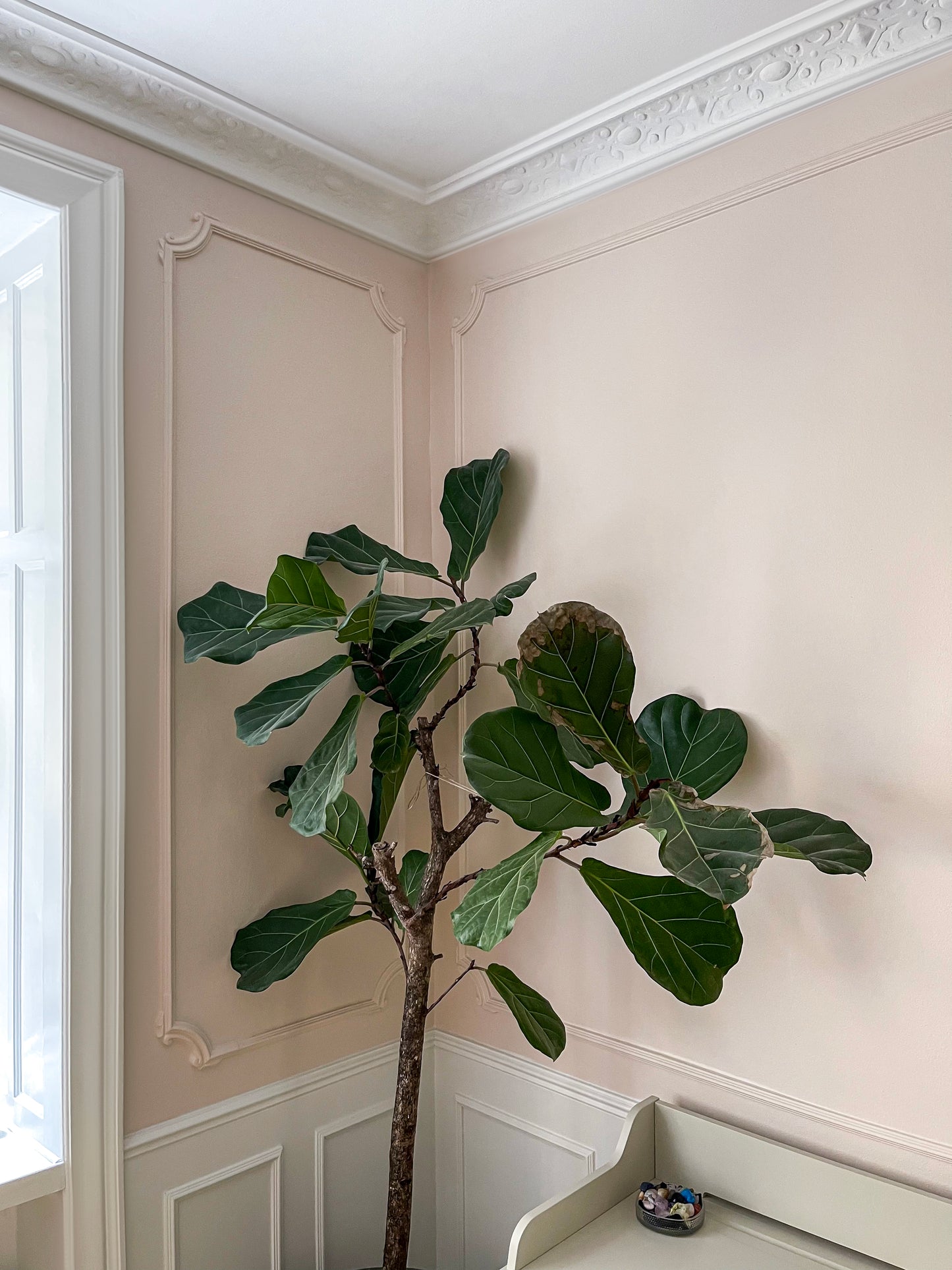 Hjørnedekor HL354-4